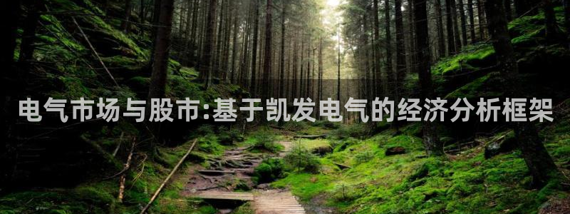 k8凯发手机版下载：电气市场与股市:基于凯发电气的经济分析框架