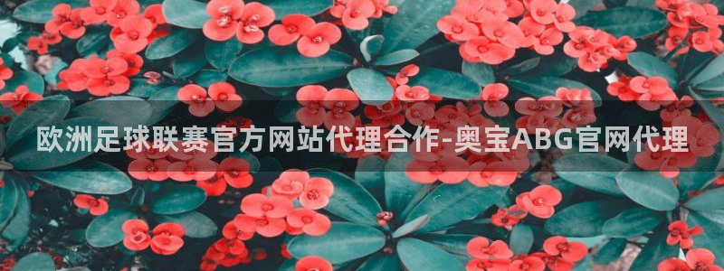 k8凯发app下载：欧洲足球联赛官方网站代理合作-奥宝ABG官网代理