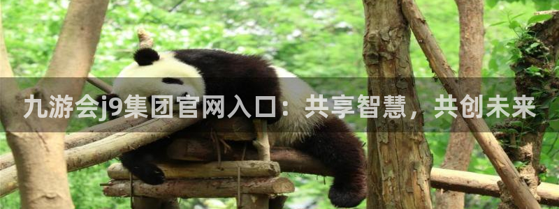 k8凯发体育热门赛事有哪些：九游会j9集团官网入口：共享智慧，共创未来