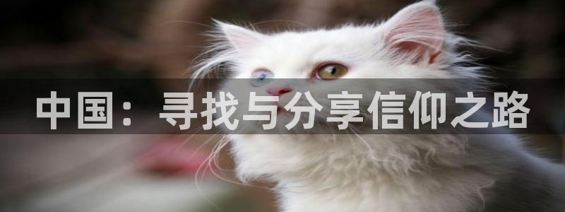 k8凯发平台总代理：中国：寻找与分享信仰之路