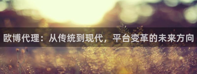 k8凯发2体育登录入口：欧博代理：从传统到现代，平台变革的未来方向