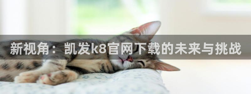 k8凯发平台招商：新视角：凯发k8官网下载的未来与挑战