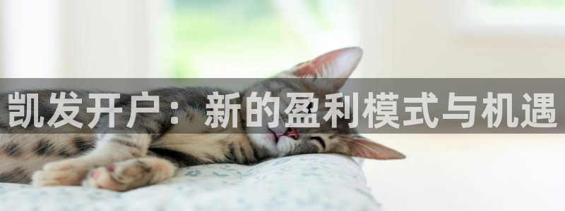 k8凯发体育3：凯发开户：新的盈利模式与机遇
