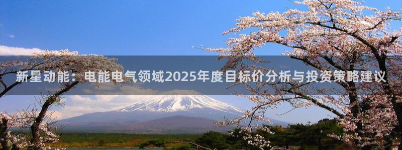 k8凯发f凯捷注册：新星动能：电能电气领域2025年度目标价分析与投资策略建议