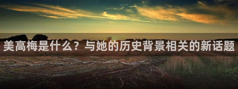 k8凯发体育凯捷平台主管：美高梅是什么？与她的历史背景相关的新话题