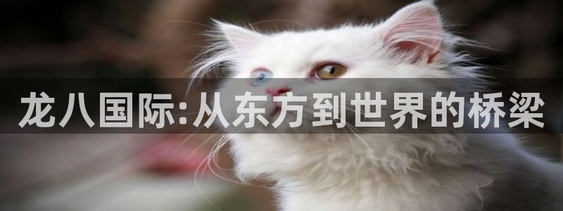 k8凯发网站平台：龙八国际:从东方到世界的桥梁