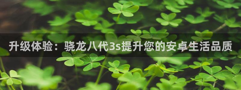 k8凯发电子有限公司：升级体验：骁龙八代3s提升您的安卓生活品质