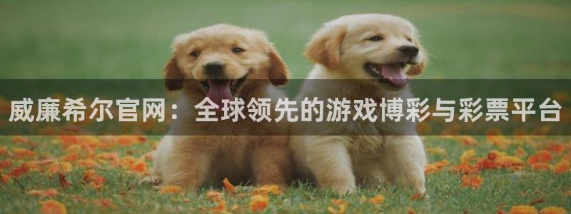 k8凯发登录注册：威廉希尔官网：全球领先的游戏博彩与彩票平台