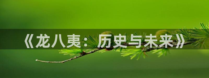 k8凯发官方网站：《龙八夷：历史与未来》