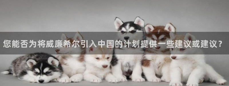 佛山市南海k8凯发机电仪器有限公司：您能否为将威廉希尔引入中国的计划提供一些建议
