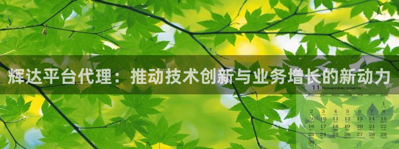 k8凯发2登录：辉达平台代理：推动技术创新与业务增长的新动力