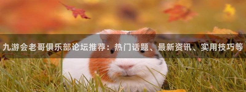 k8凯发3：九游会老哥俱乐部论坛推荐：热门话题、最新资讯、实用技巧等