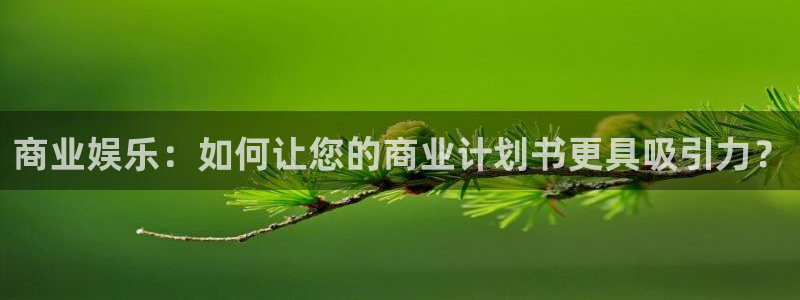 k8凯发4开户：商业娱乐：如何让您的商业计划书更具吸引力？