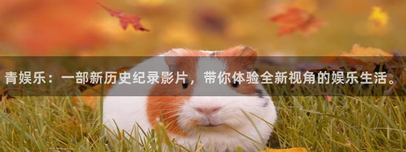 k8凯发体育2官网入口：青娱乐：一部新历史纪录影片，带你体验全新视角的娱乐生活。