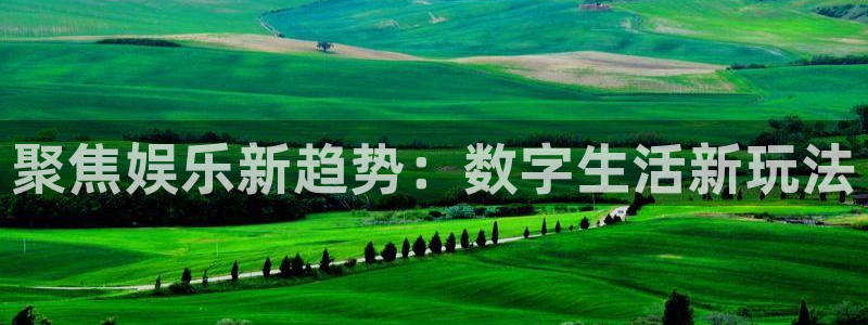 k8凯发注册入口与教程：聚焦娱乐新趋势：数字生活新玩法
