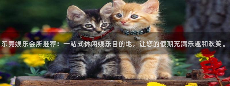 k8凯发加拿大app预测：东莞娱乐会所推荐：一站式休闲娱乐目的地，让您的假期充满