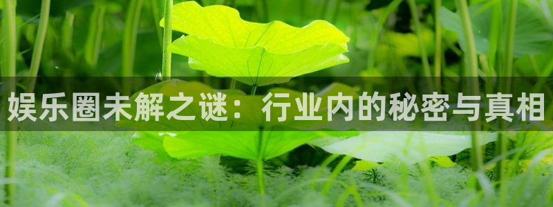 k8凯发体育和杏耀是哪个公司的：娱乐圈未解之谜：行业内的秘密与真相