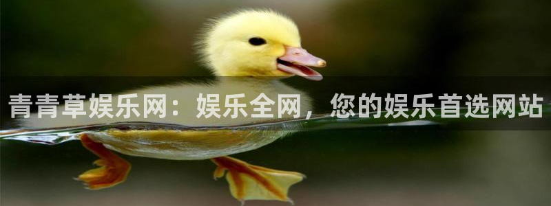 k8凯发网站平台：青青草娱乐网：娱乐全网，您的娱乐首选网站