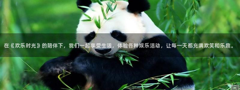 k8凯发体育1招商：在《欢乐时光》的陪伴下，我们一起享受生活，体验各种娱乐活动，