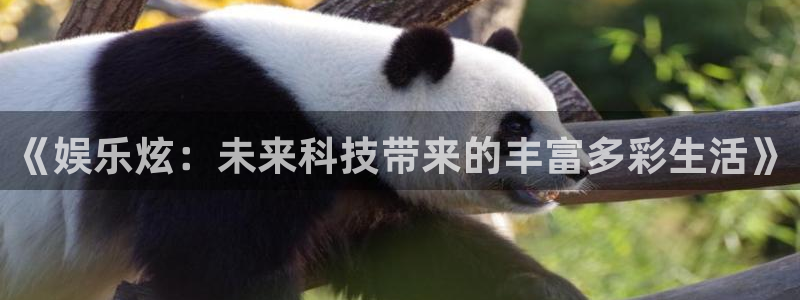 k8凯发体育平台总代理：《娱乐炫：未来科技带来的丰富多彩生活》