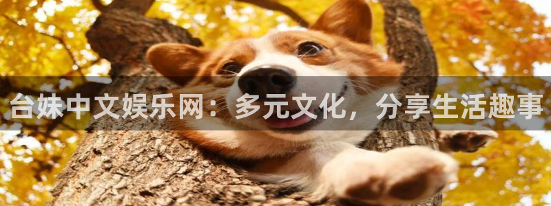k8凯发体育3：台妹中文娱乐网：多元文化，分享生活趣事