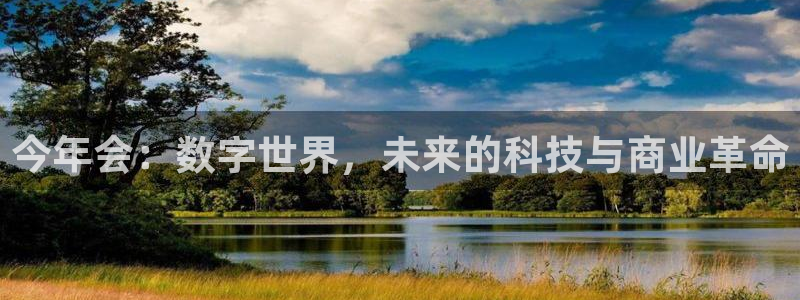 k8凯发2平台登录：今年会：数字世界，未来的科技与商业革命