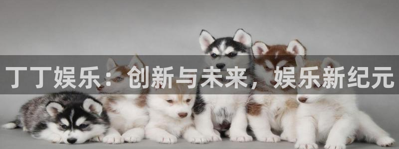 k8凯发2官网：丁丁娱乐：创新与未来，娱乐新纪元