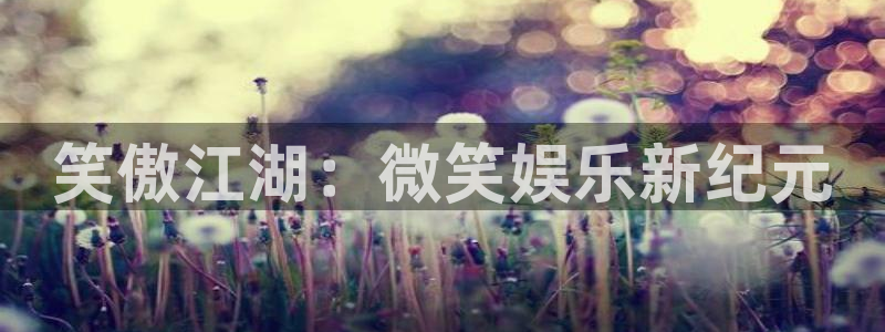 k8凯发体育凯捷平台注册：笑傲江湖：微笑娱乐新纪元
