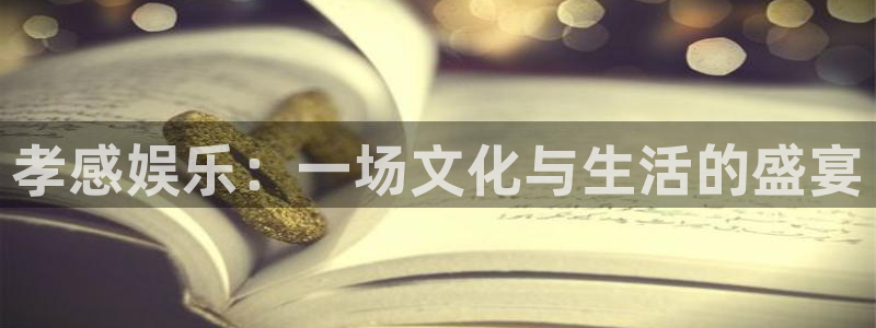 福建k8凯发机电股份公司：孝感娱乐：一场文化与生活的盛宴