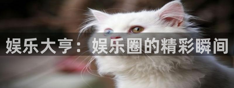 k8凯发f凯捷注册：娱乐大亨：娱乐圈的精彩瞬间