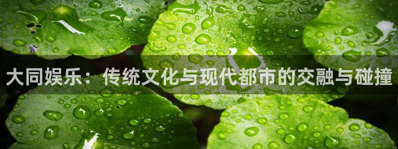 k8凯发2平台登录：大同娱乐：传统文化与现代都市的交融与碰撞