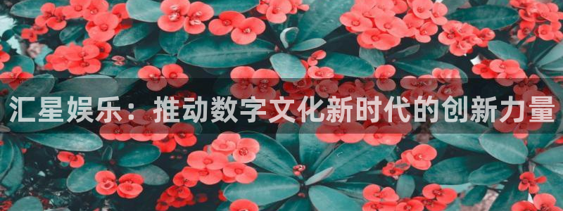 k8凯发3登录：汇星娱乐：推动数字文化新时代的创新力量