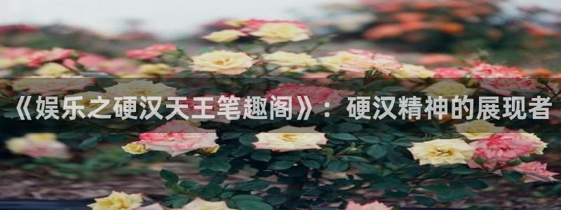 k8凯发3登陆：《娱乐之硬汉天王笔趣阁》：硬汉精神的展现者