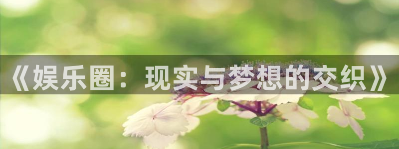 电子游戏k8凯发：《娱乐圈：现实与梦想的交织》