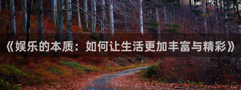 k8凯发可靠吗：《娱乐的本质：如何让生活更加丰富与精彩》