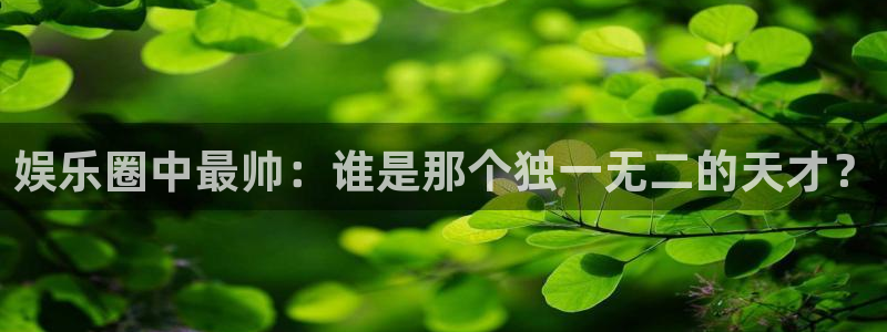 k8凯发.ccmpc正版官网版下载：娱乐圈中最帅：谁是那个独一无二的天才？