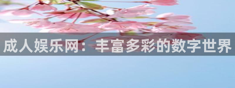 k8凯发平台开户链接：成人娱乐网：丰富多彩的数字世界
